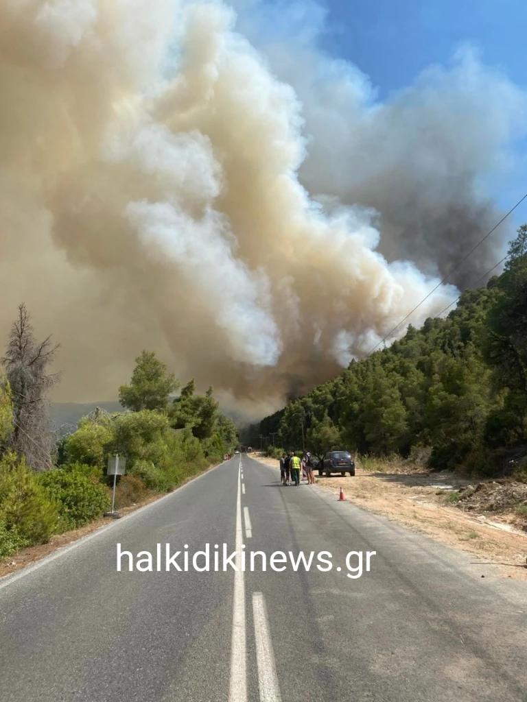 fotia-voyrvoyroy-2.jpg?v=0