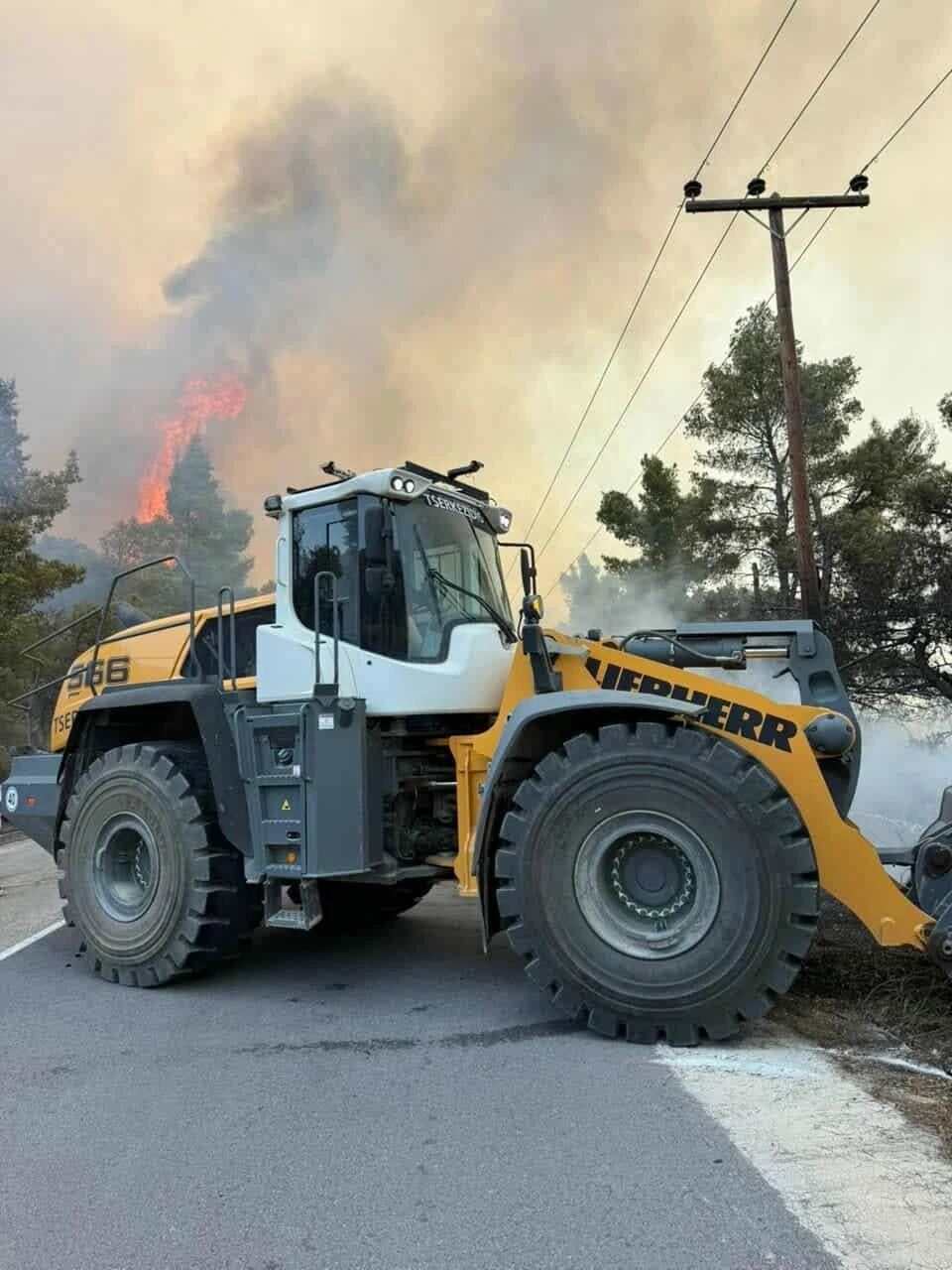 fotia-voyrvoyroy-3.jpg?v=0