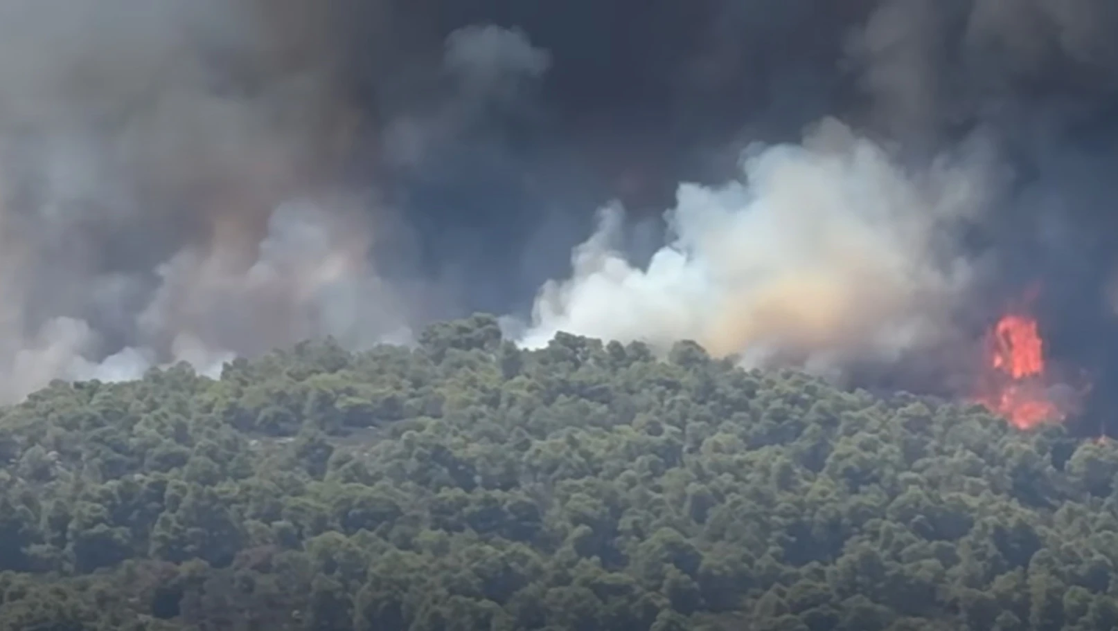          Φωτογραφία: halkidikinews     