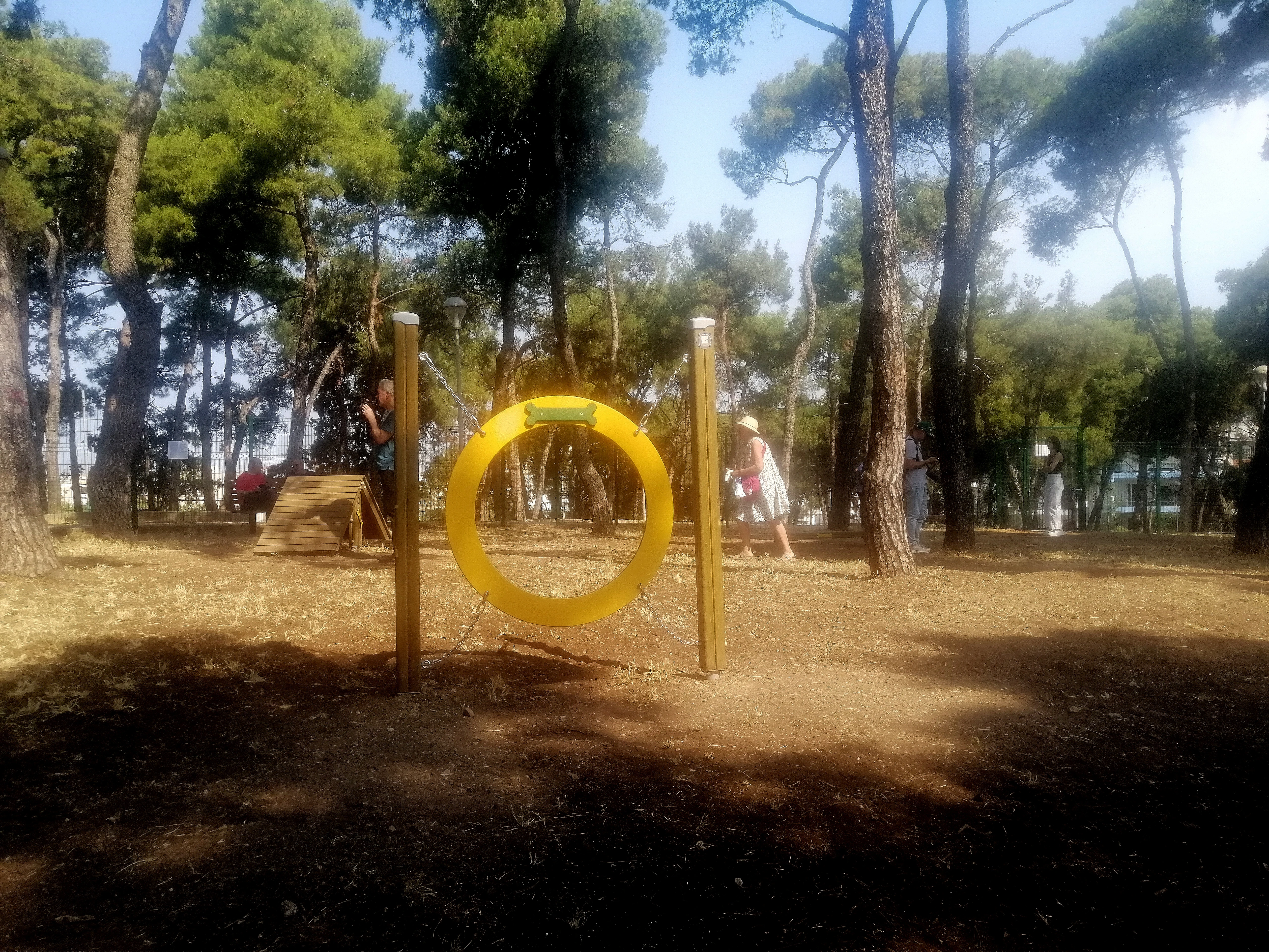 parko-skylia-2.jpg?v=0