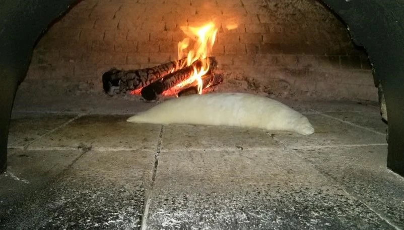 pizza-top5.jpg?v=0