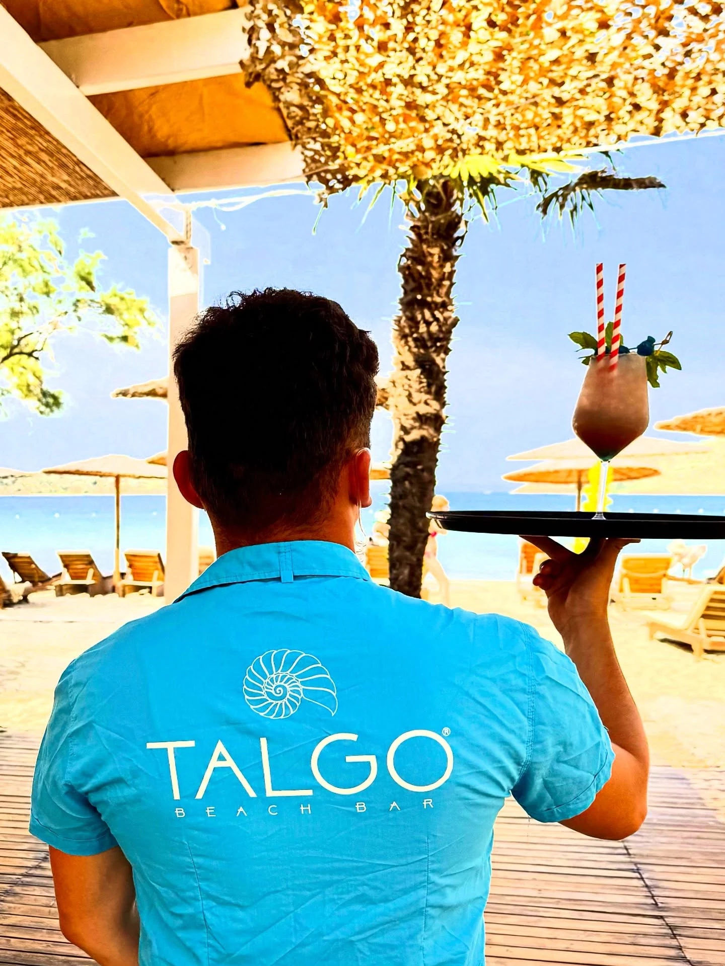 talgo10.jpg?v=0
