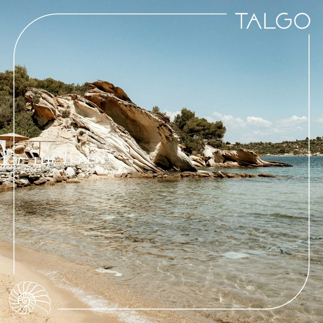 talgo19.jpg?v=0