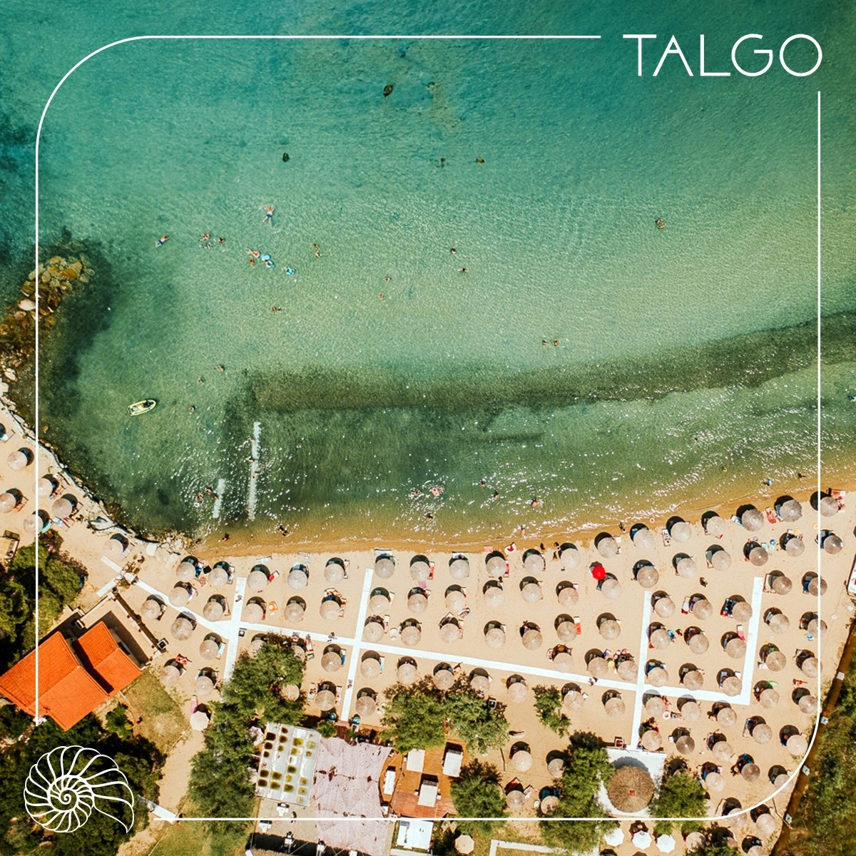 talgo4.jpg?v=0