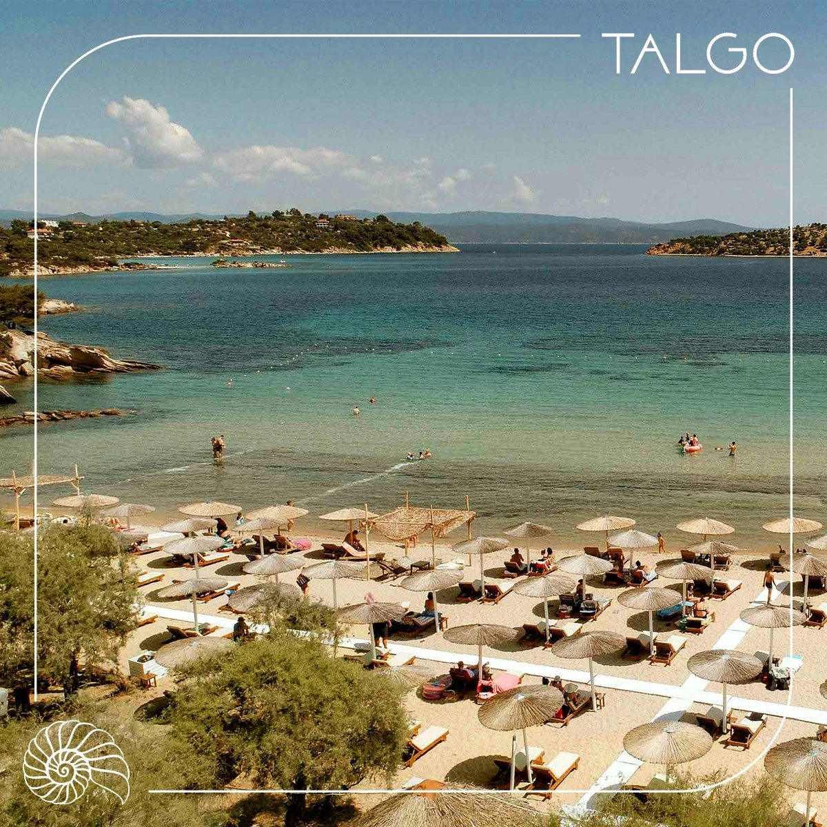 talgo5.jpg?v=0