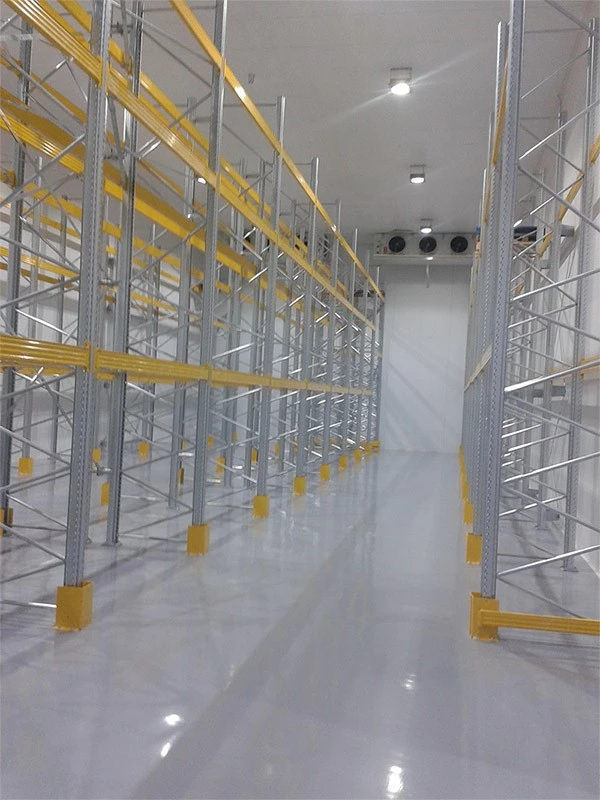 thalamodomi10.jpg?v=0