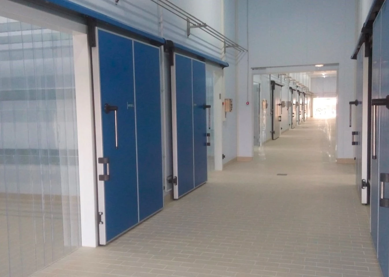 thalamodomi6.jpg?v=0