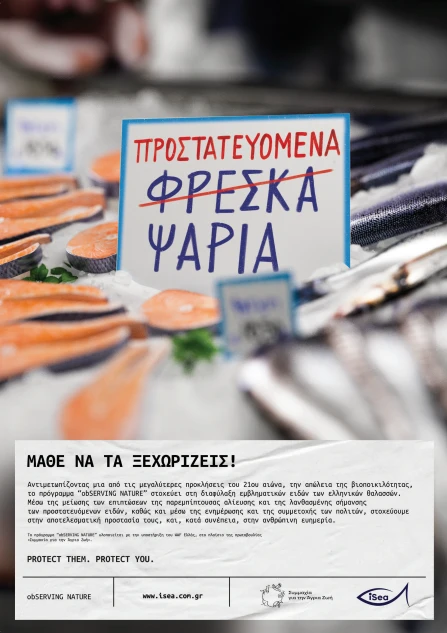 1.PNG?v=0