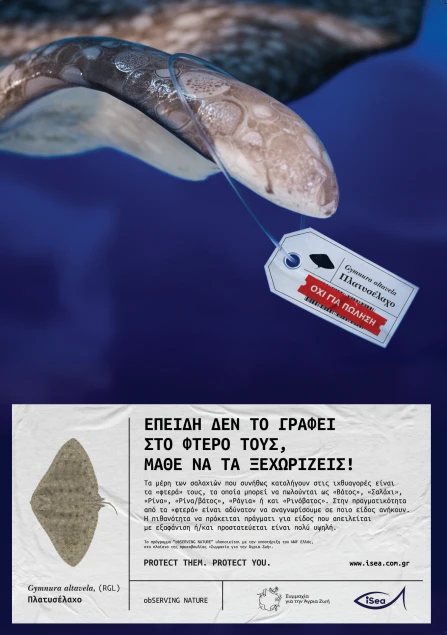 2.PNG?v=0