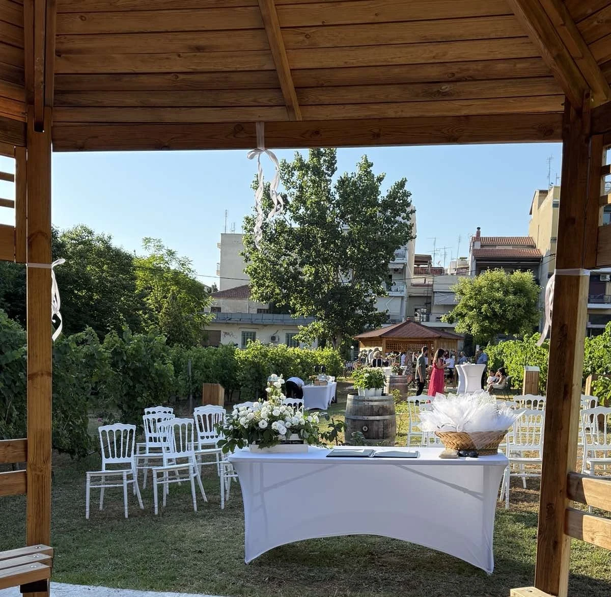 gamos-ampelonas-1.jpg?v=0