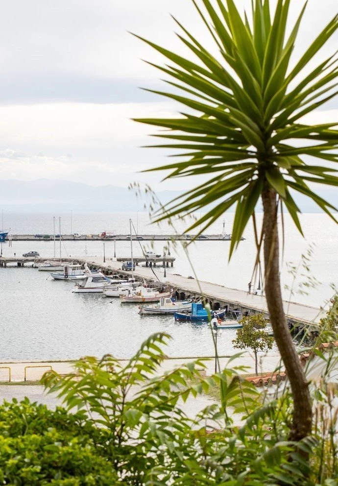 ima-holiday-suites2.jpg?v=0