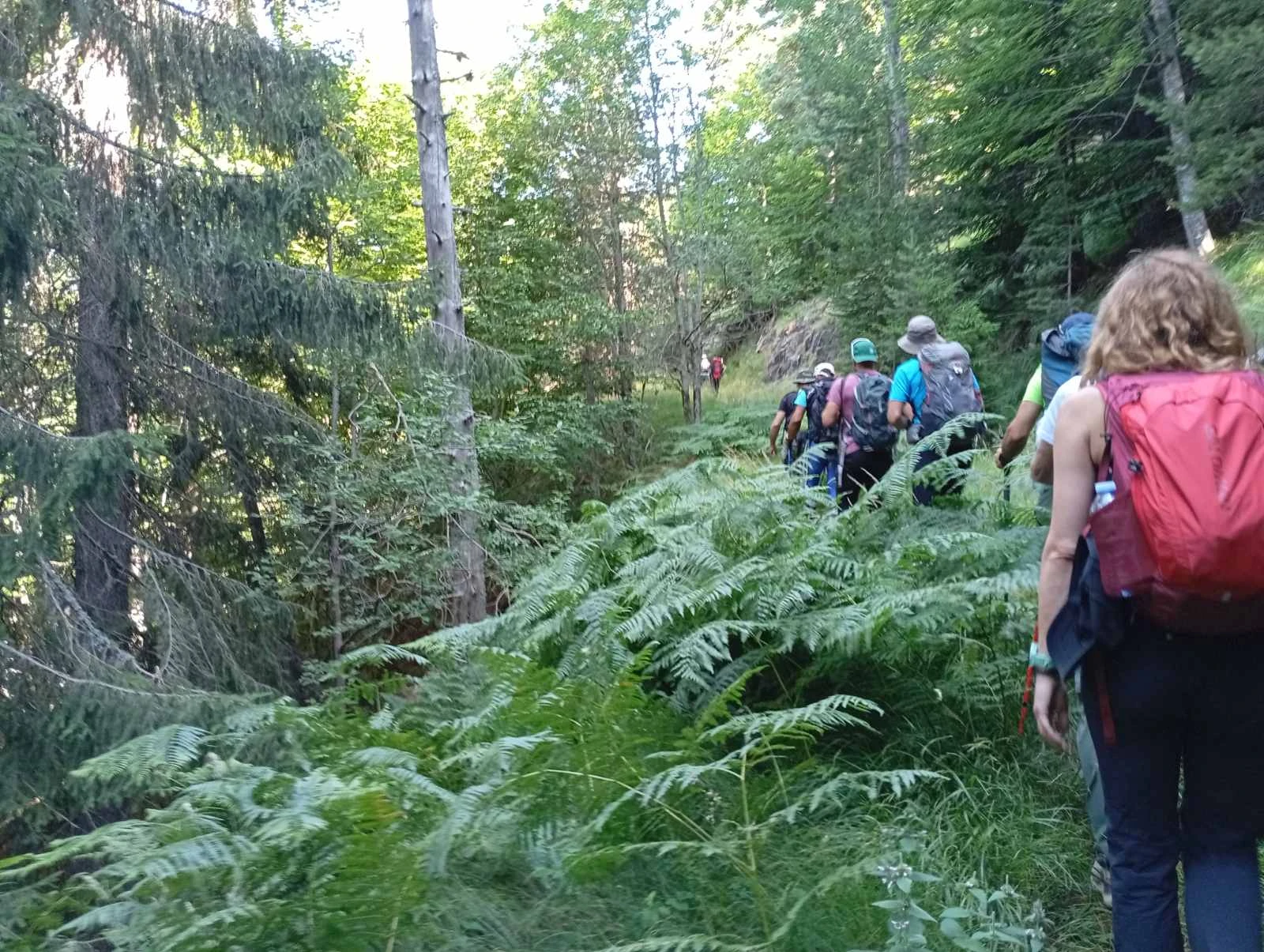 dasosfraktumnimio16.jpg?v=0