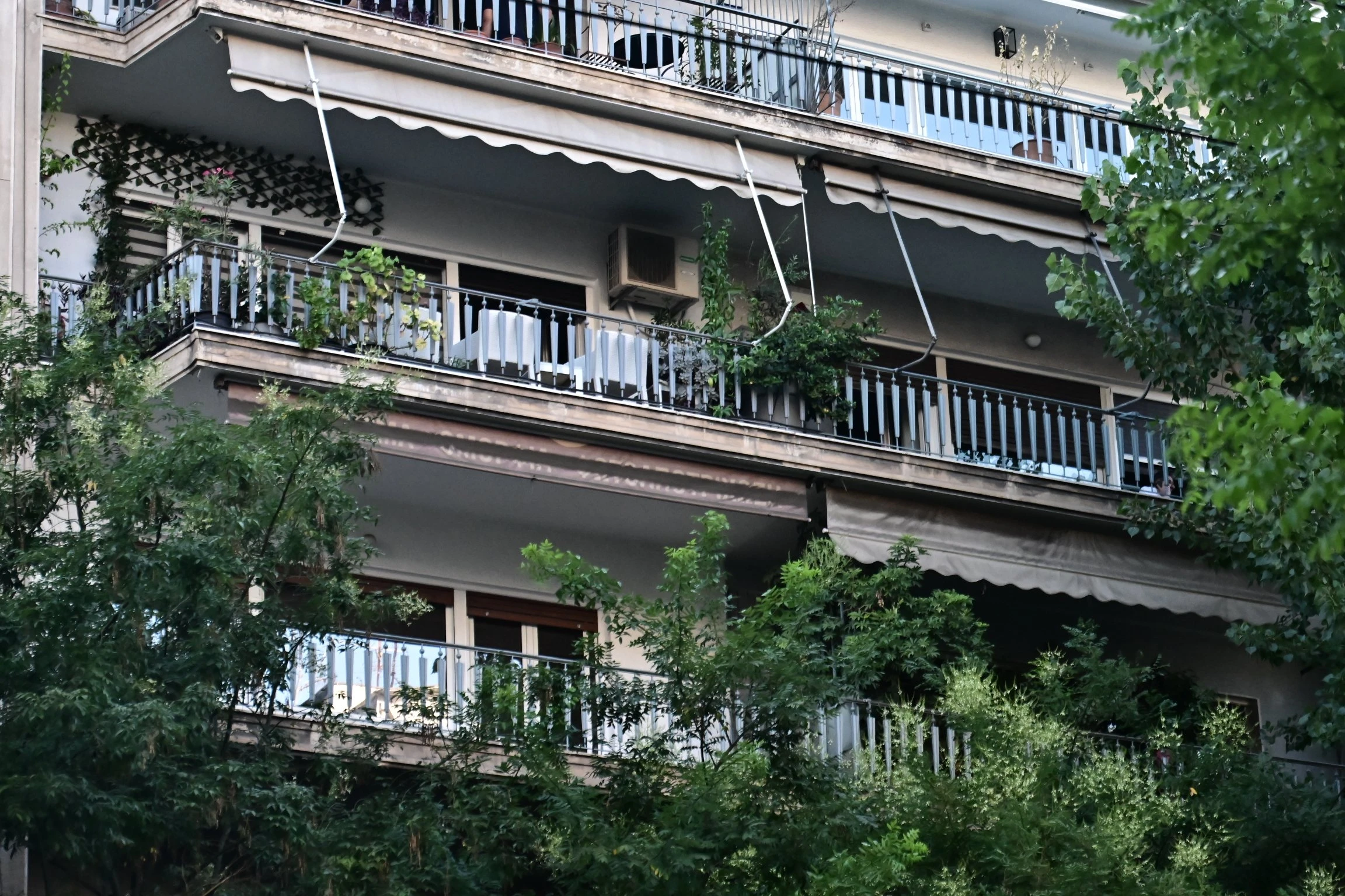 fotia-spiti-filippidi-2.jpg?v=0