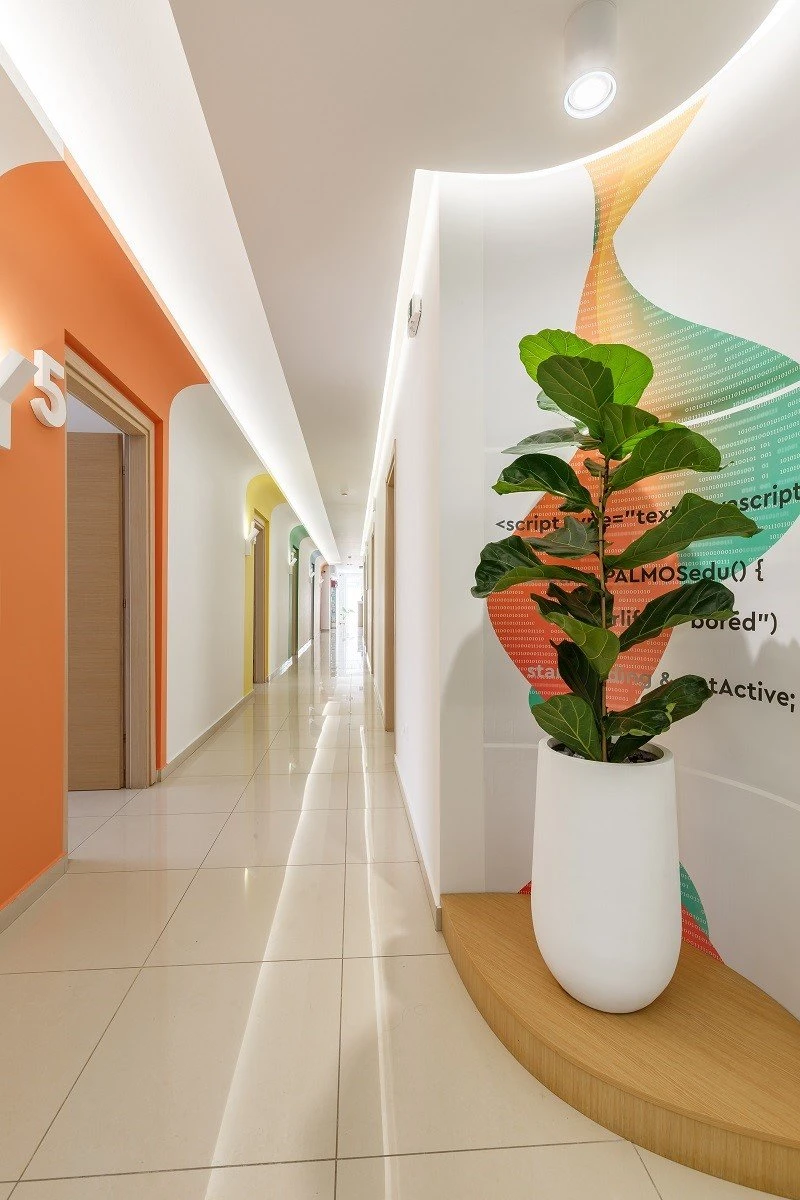 frontistiria-palmos10.jpg?v=0