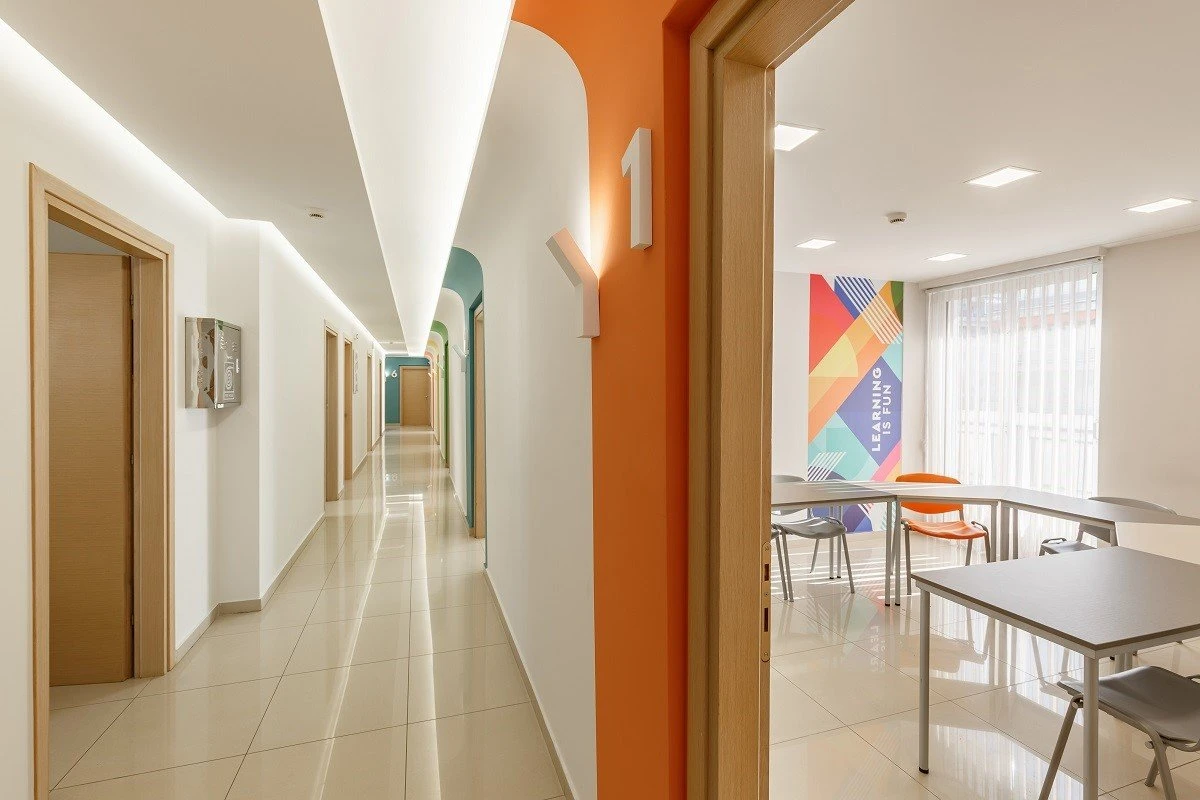 frontistiria-palmos4.jpg?v=0