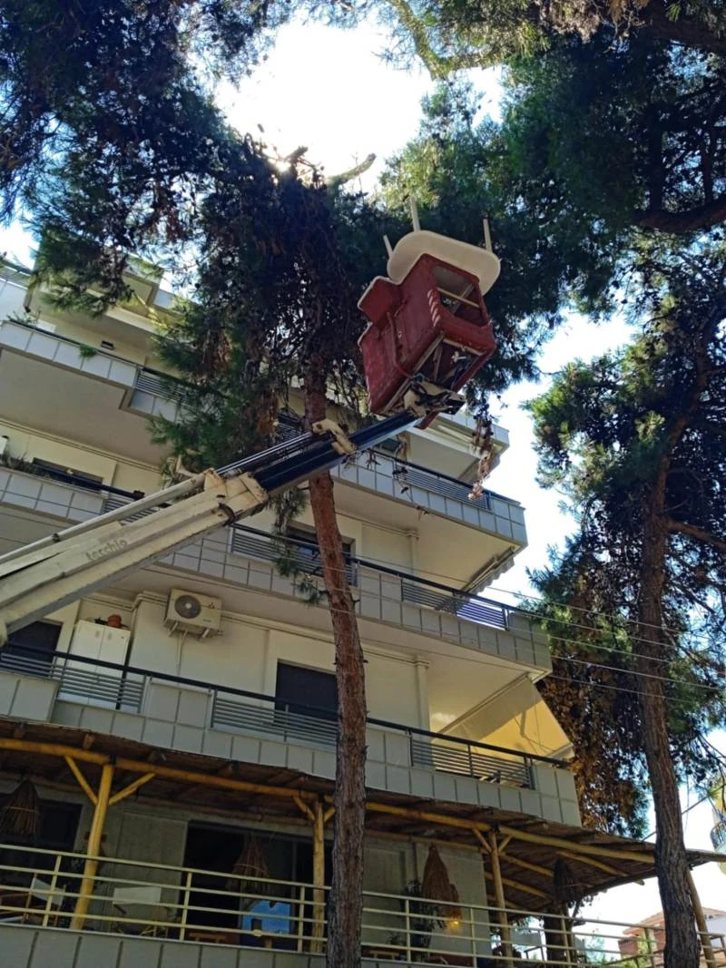 kalamaria-trapezi-se-dentro2.jpg