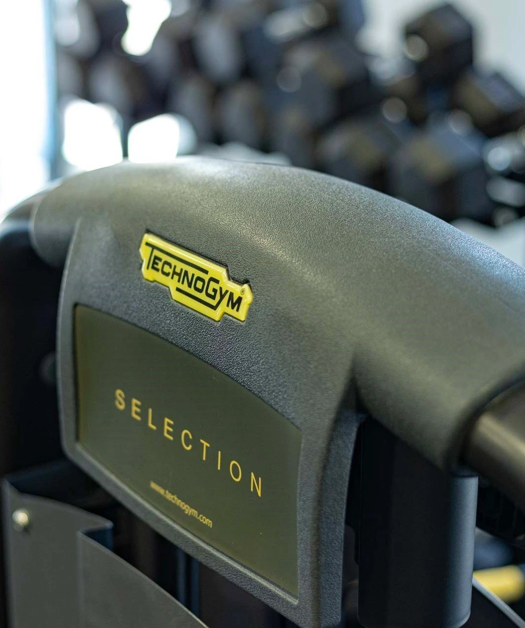 target-absolute-13.jpg?v=0