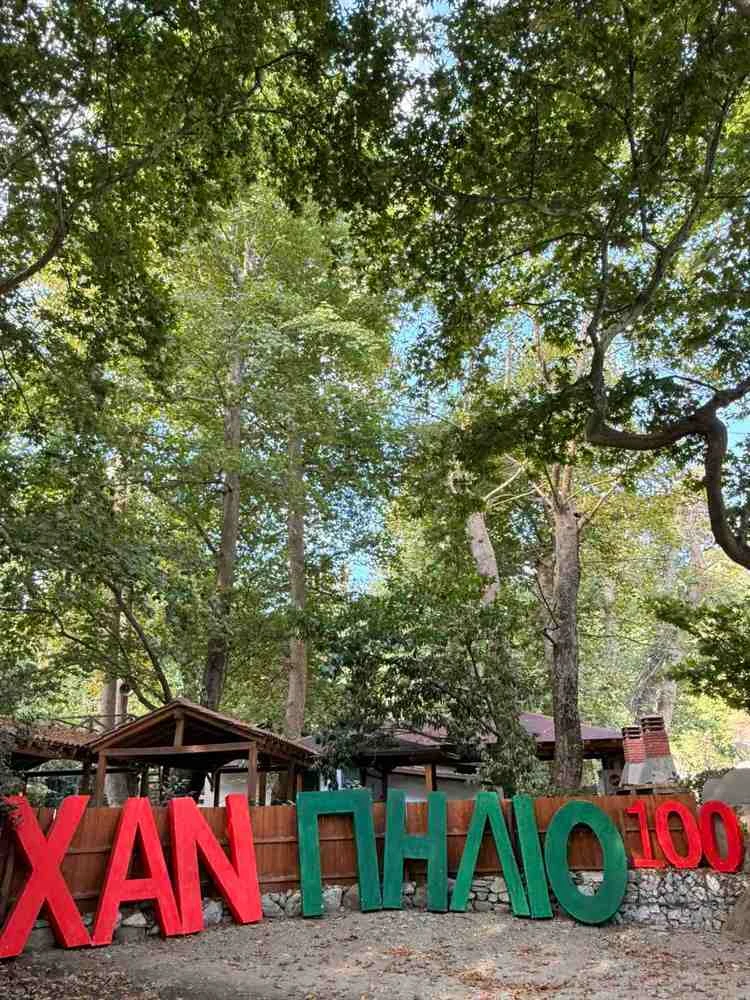 xan-pilio1.jpg?v=0