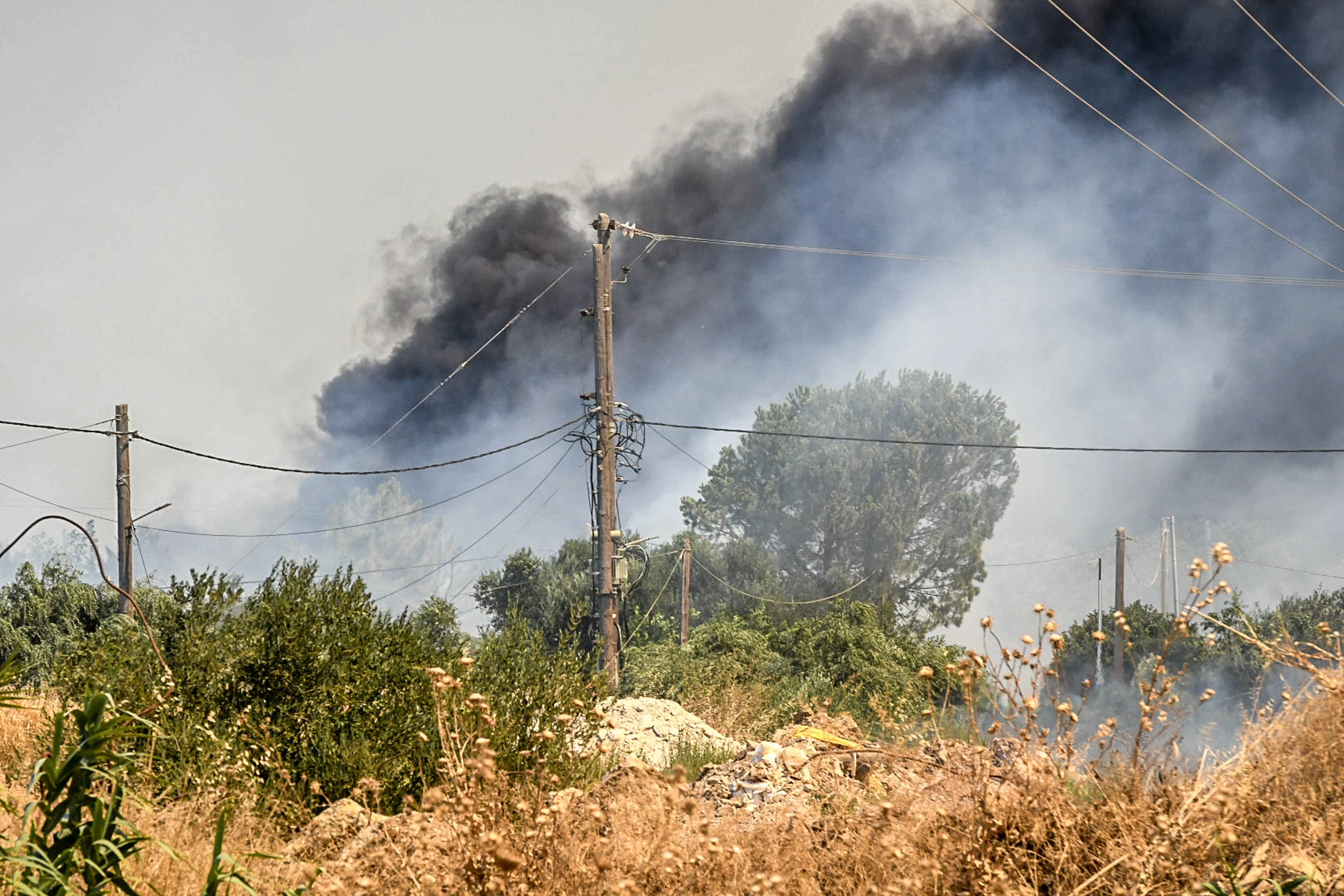 fotia-patra-2.jpg?v=0