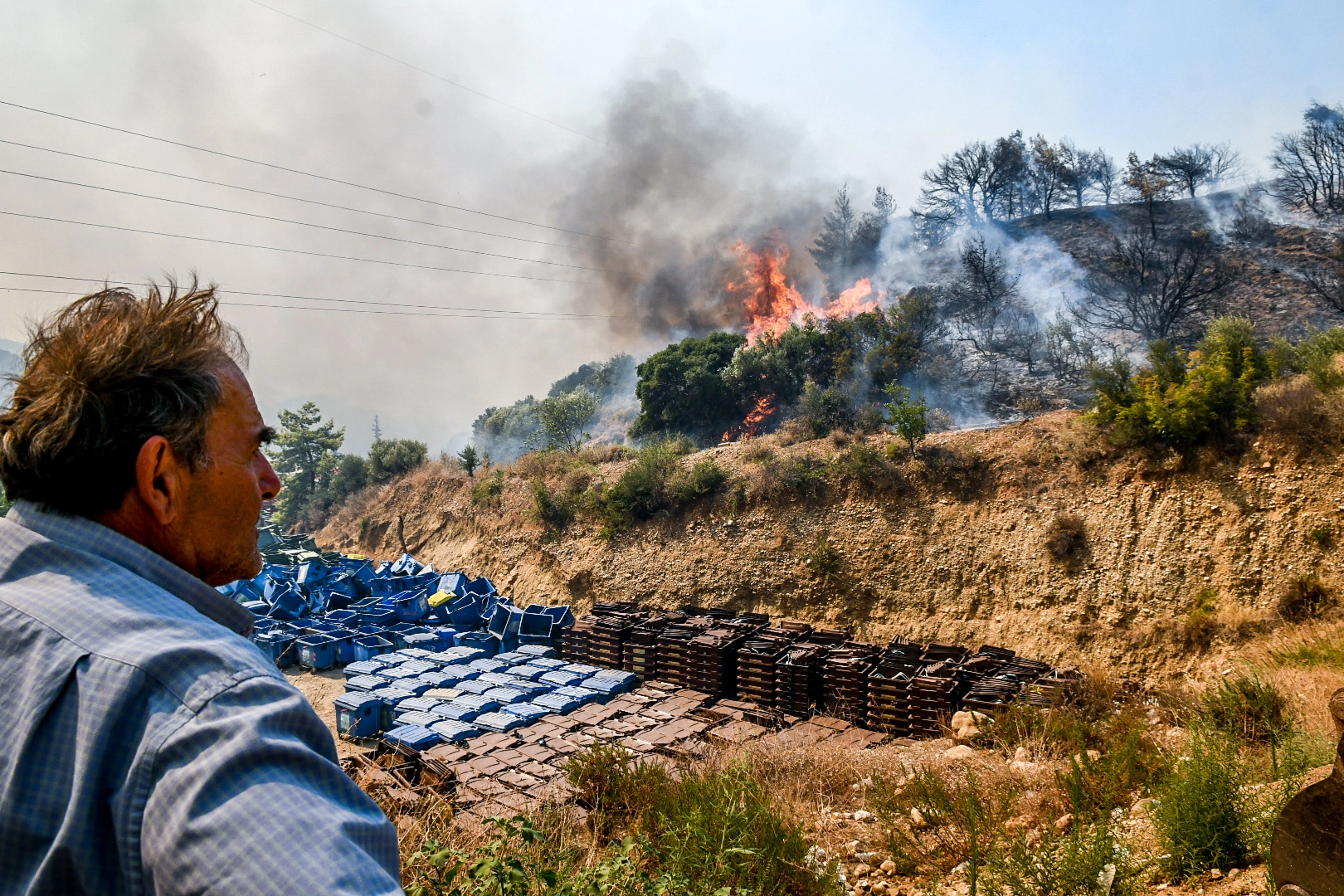 fotia-patra-5.jpg?v=0