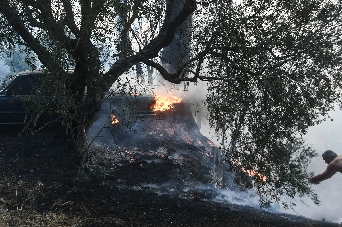 fwtia-axaia-3.jpg?v=0