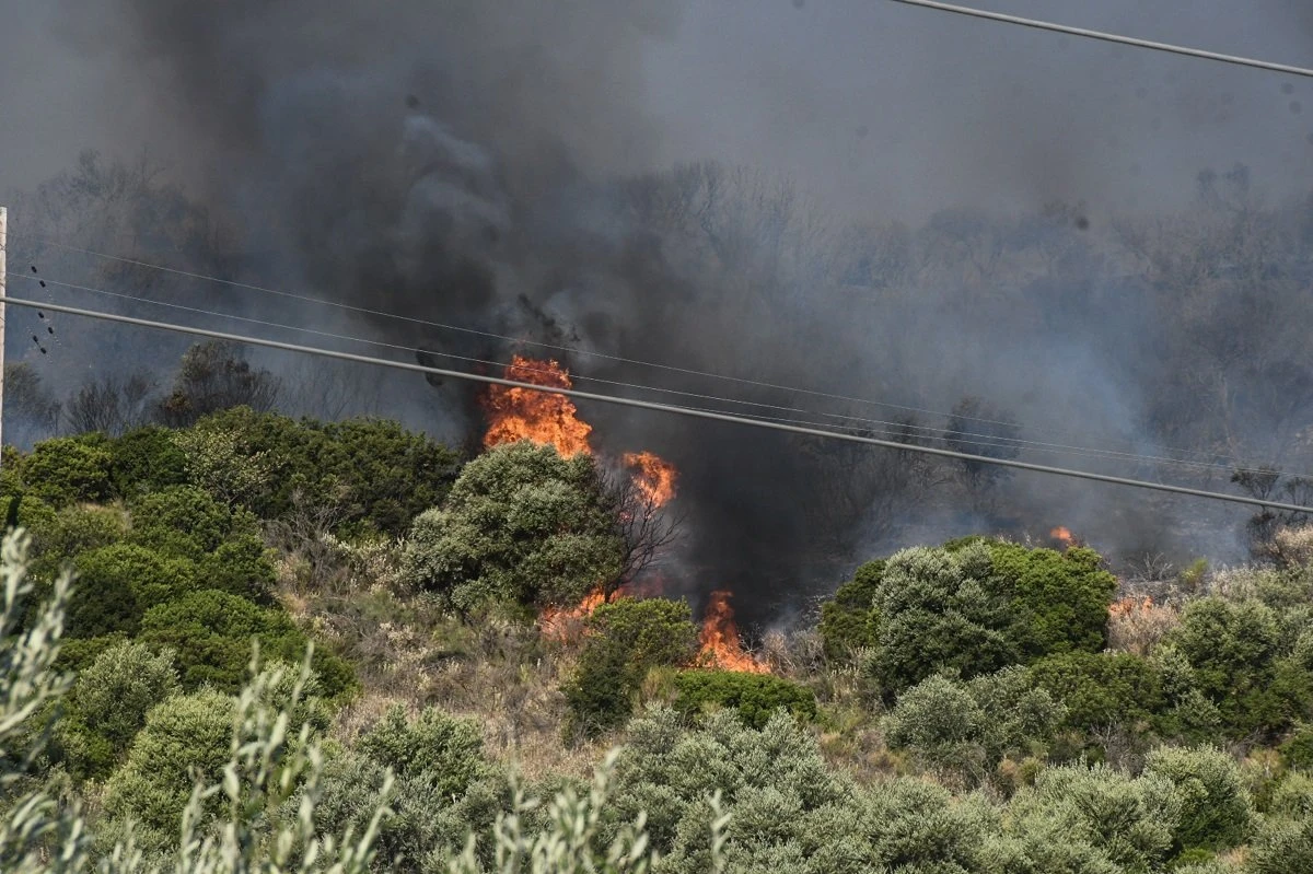 fwtia-axaia-4.jpg?v=0