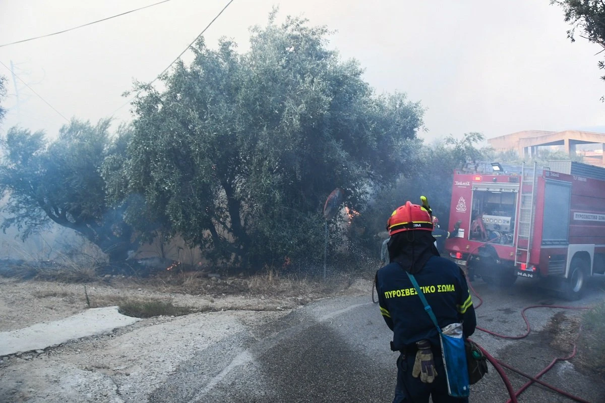 fwtia-axaia-5.jpg?v=0