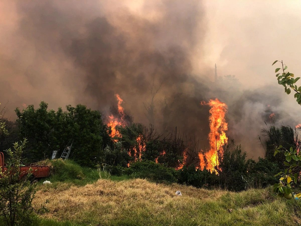 fwtia-axaia-6.jpg?v=0