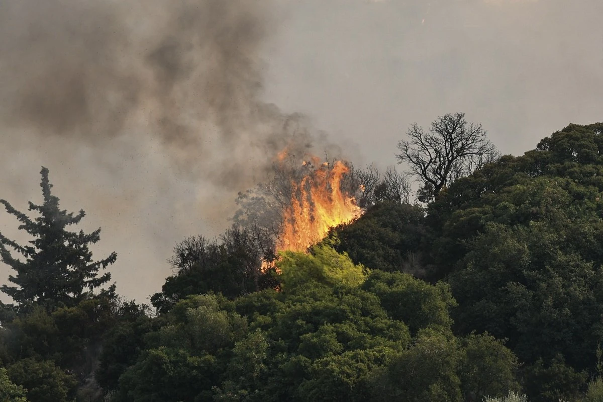 fwtia-axaia-7.jpg?v=0