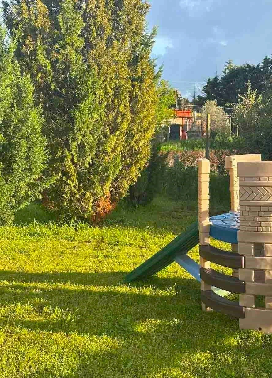 kdap-oneiroxora-21.jpg?v=0