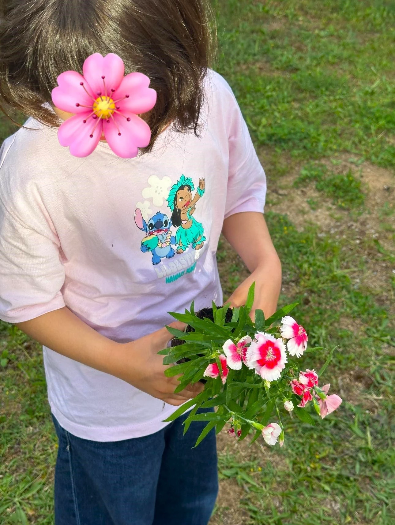 kdap-oneiroxora-8.jpg?v=0