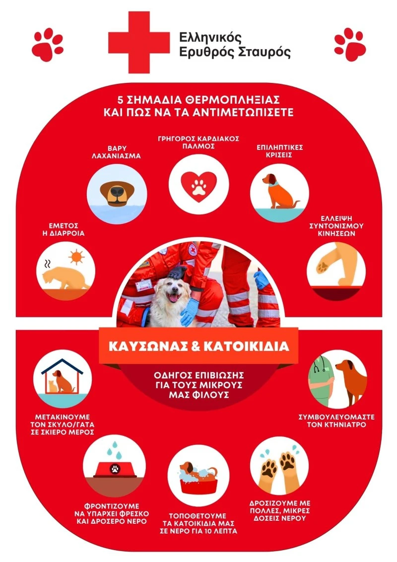 odighos-epiviosis-ghia-tus-mikrus-mas-filus-1.jpg