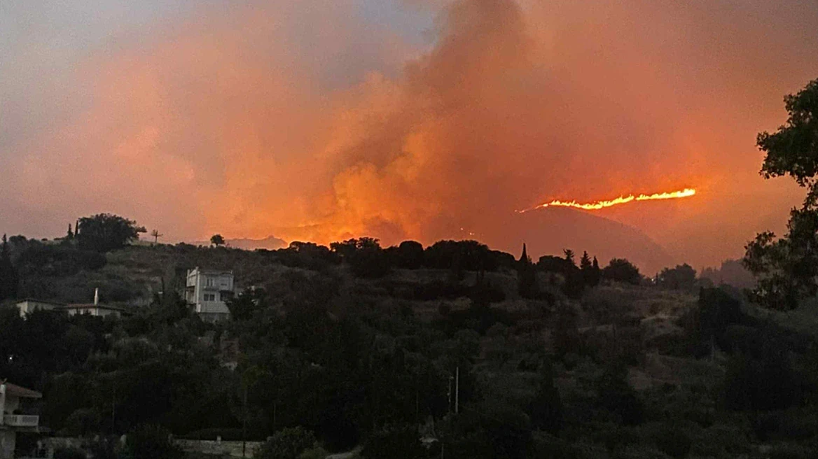 xrwma-axaia-2.webp?v=0