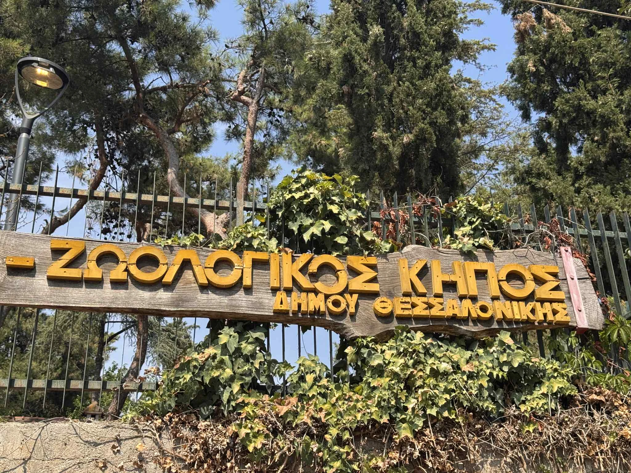 zoologikos-kipos-6.jpg?v=0