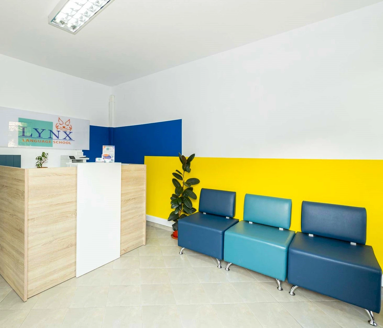 lynx-language-5.jpg?v=0