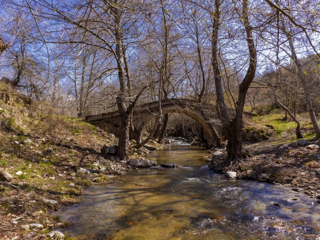 petrina-giofyria-gefyres-krousovitis-dimos-sintikis-serres-20250421.jpg