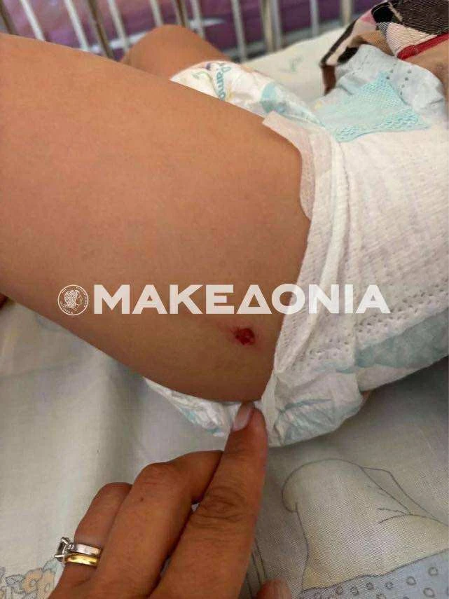 547669663-1300642688420363-1776998697244153849-n.jpg?v=0