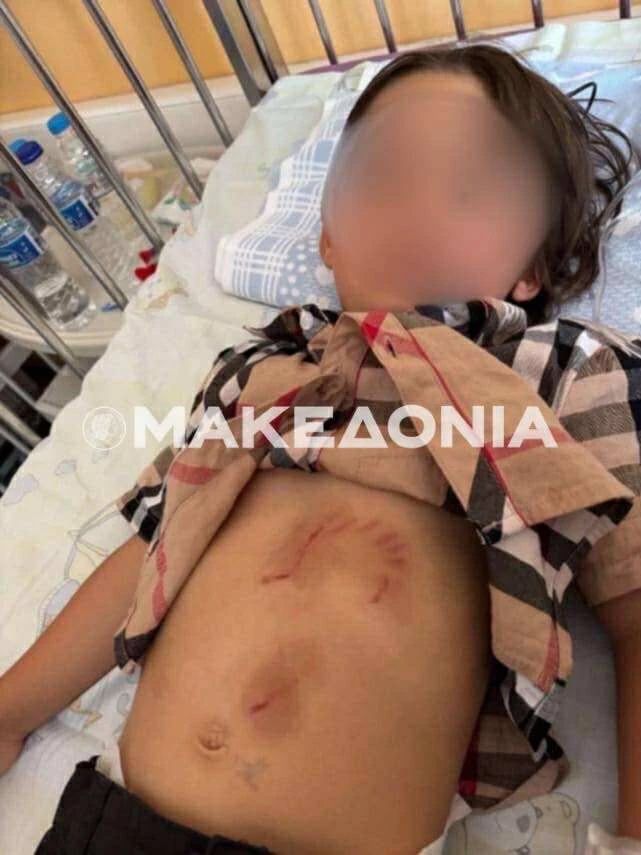 548640531-1120175276950340-4666999480885210010-n.jpg?v=0