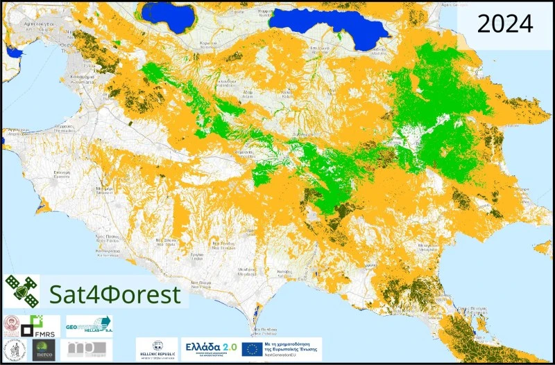 sat4forest-chalkidiki-foresttypes-2024.jpg