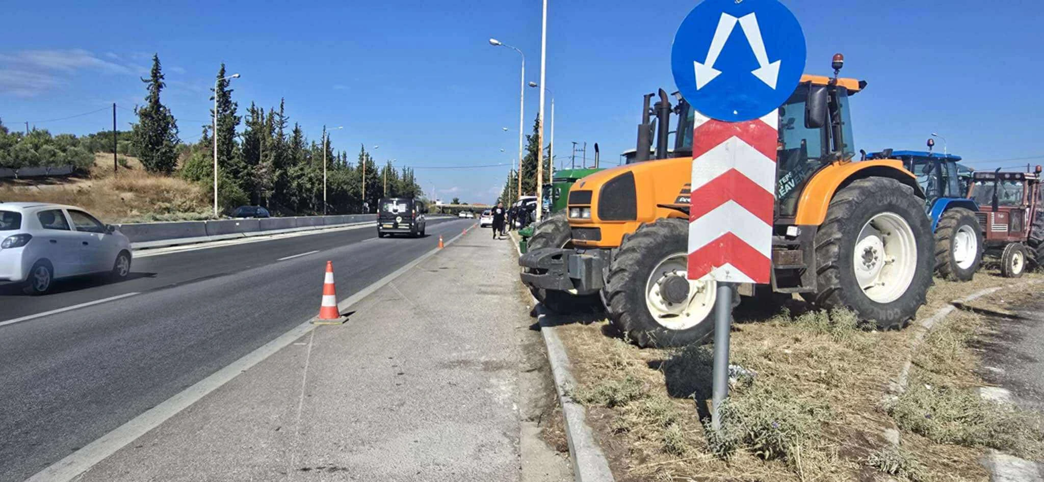 agrotes-4.jpg?v=0