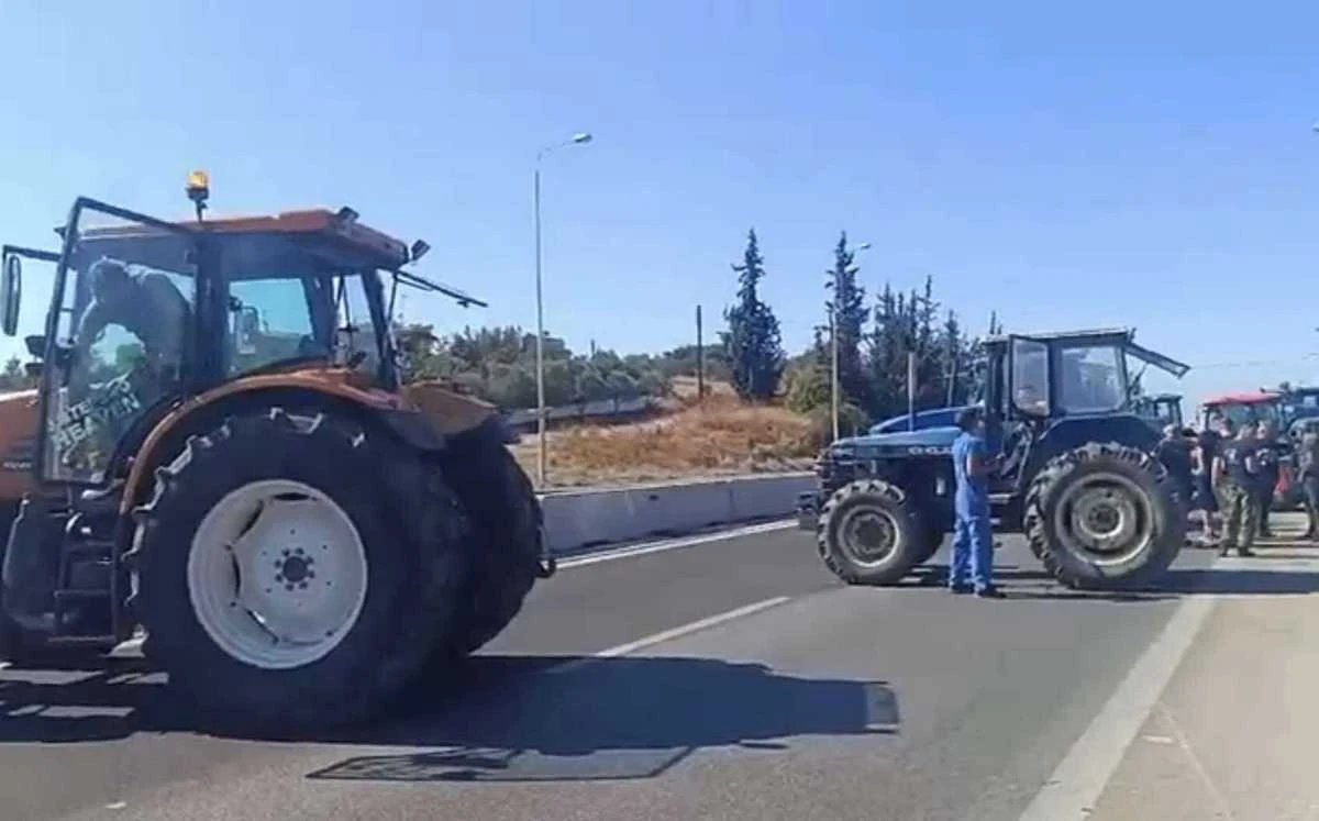 agrotes2.jpg