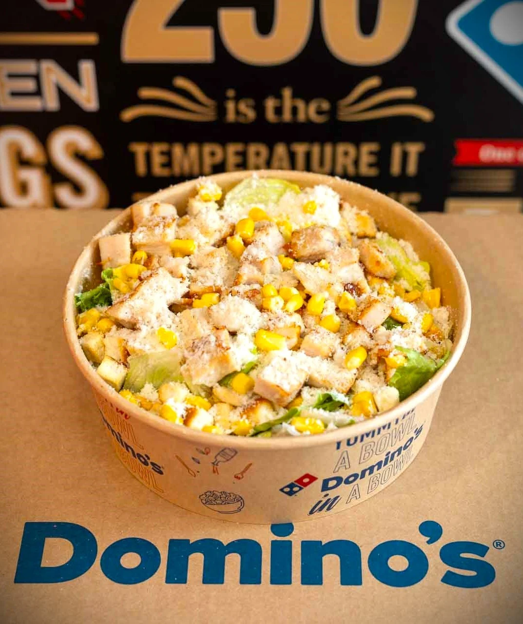 dominos-17.jpg?v=0