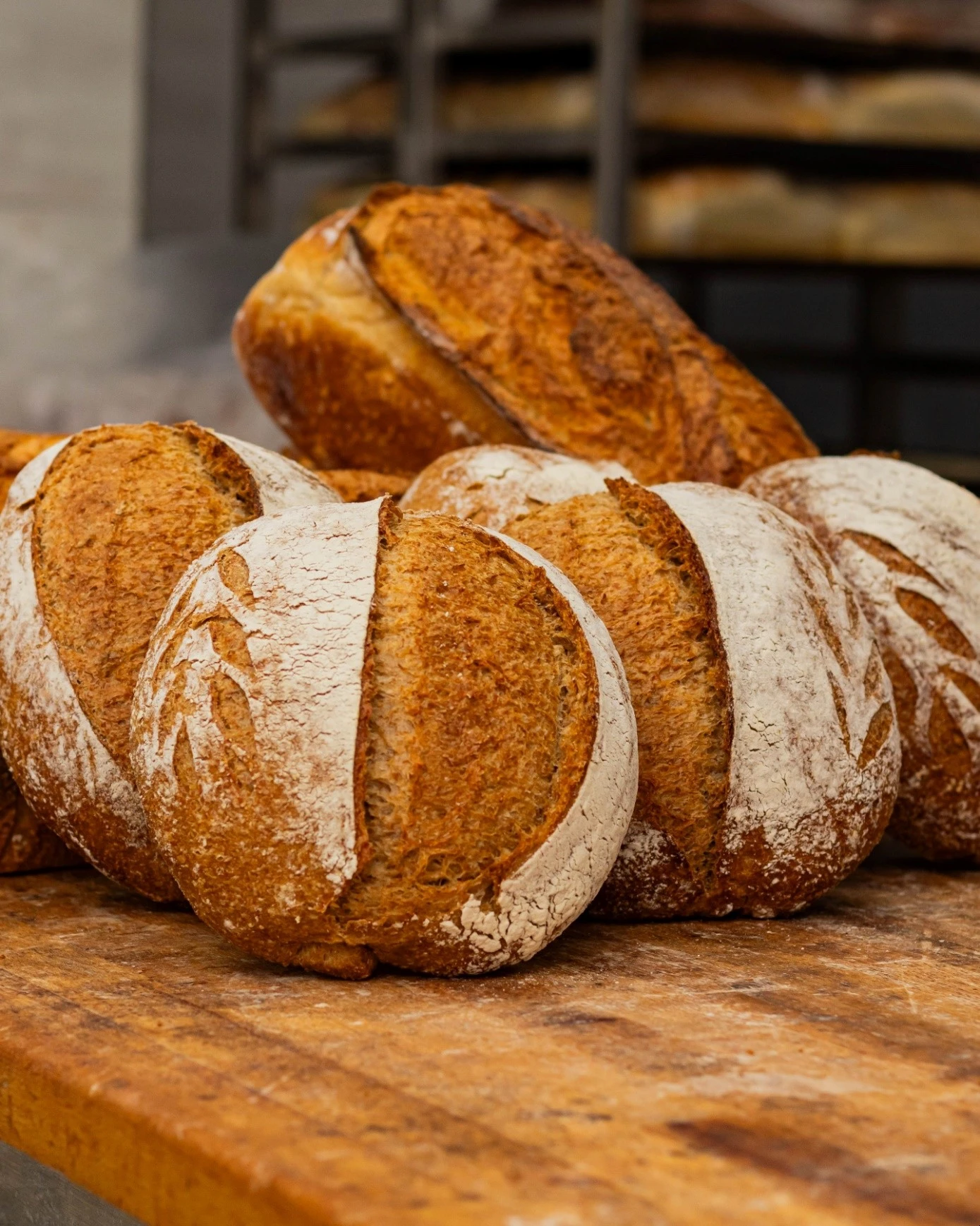 fleur-boulangerie-14.jpg?v=0