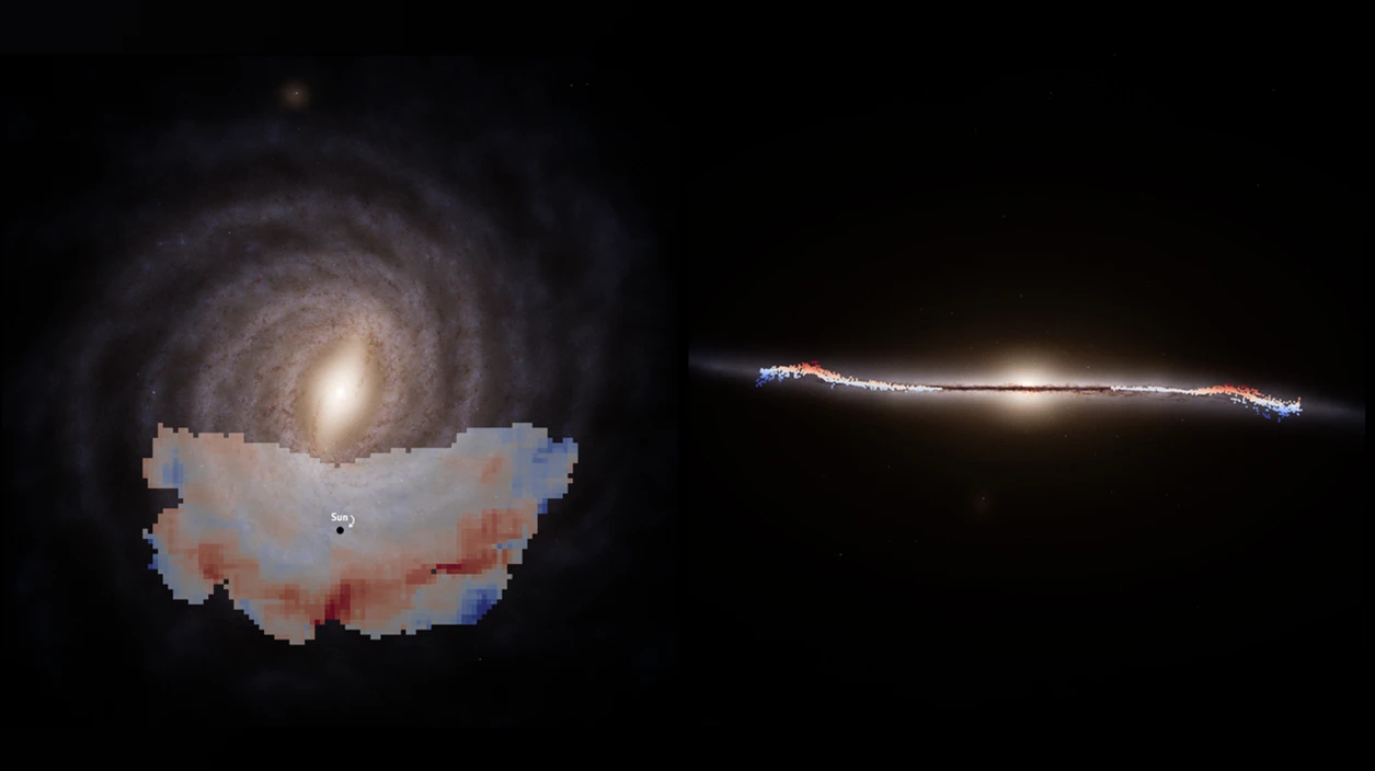 gaiawave.png?v=0