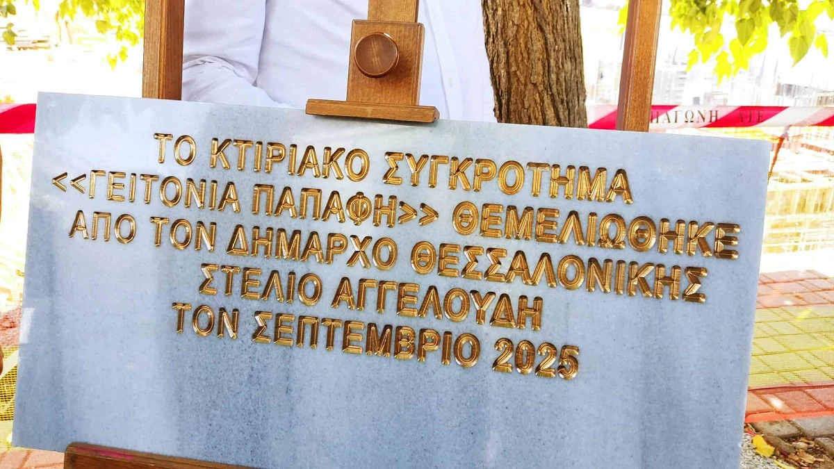 papafi-ergotaxio-2.jpg