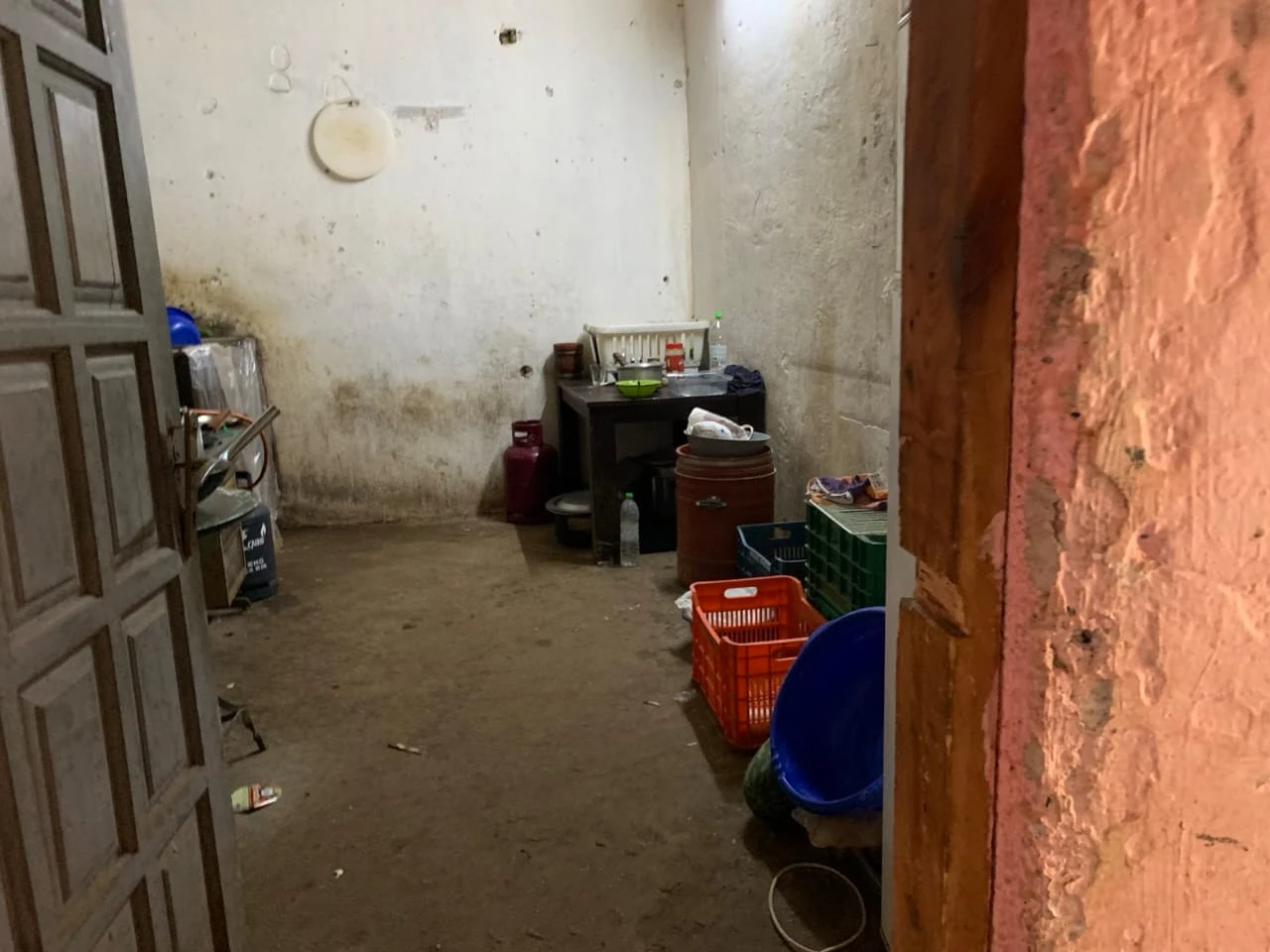 08102025daoe11.jpeg?v=0