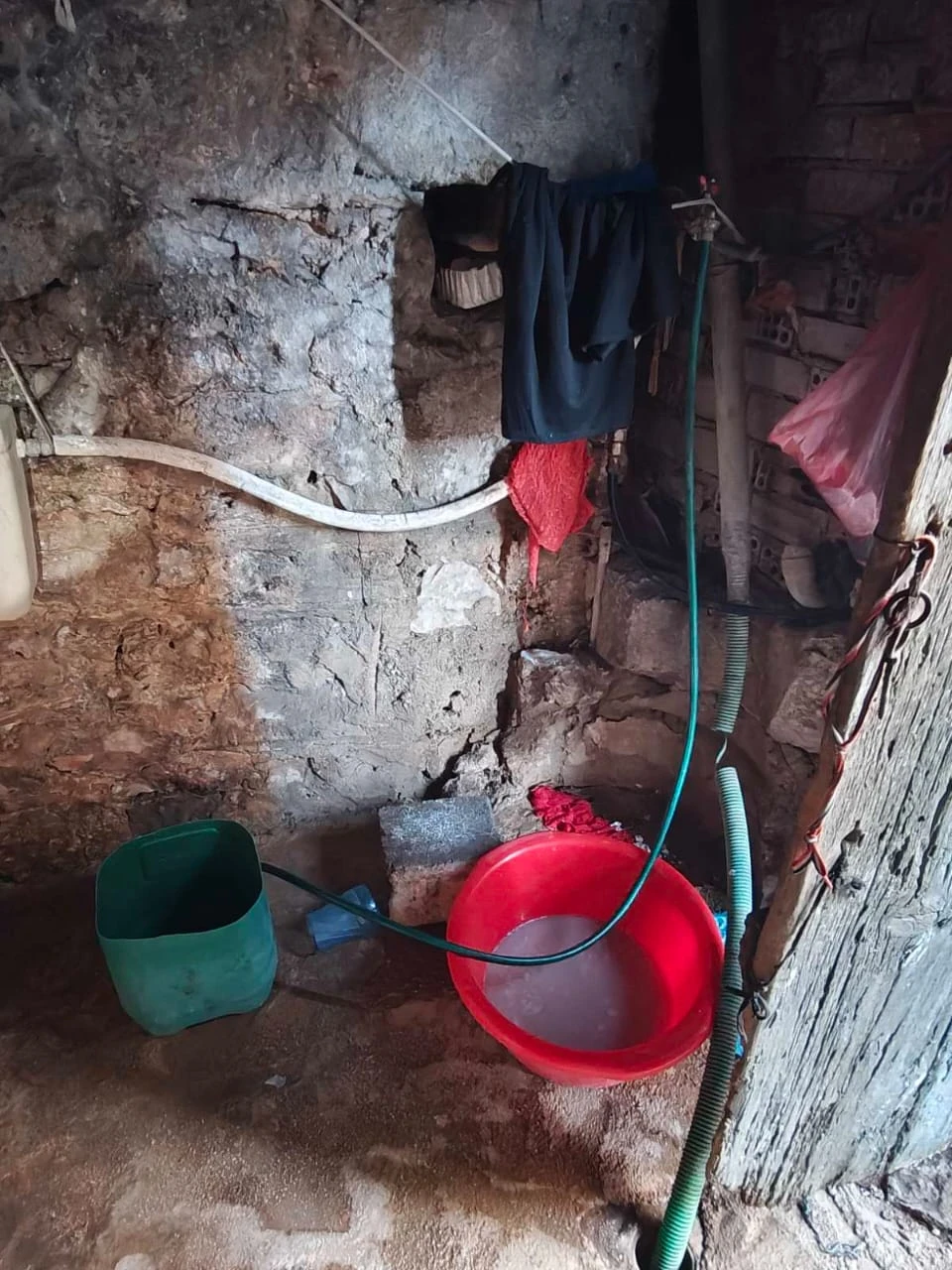 08102025daoe6.jpeg?v=0