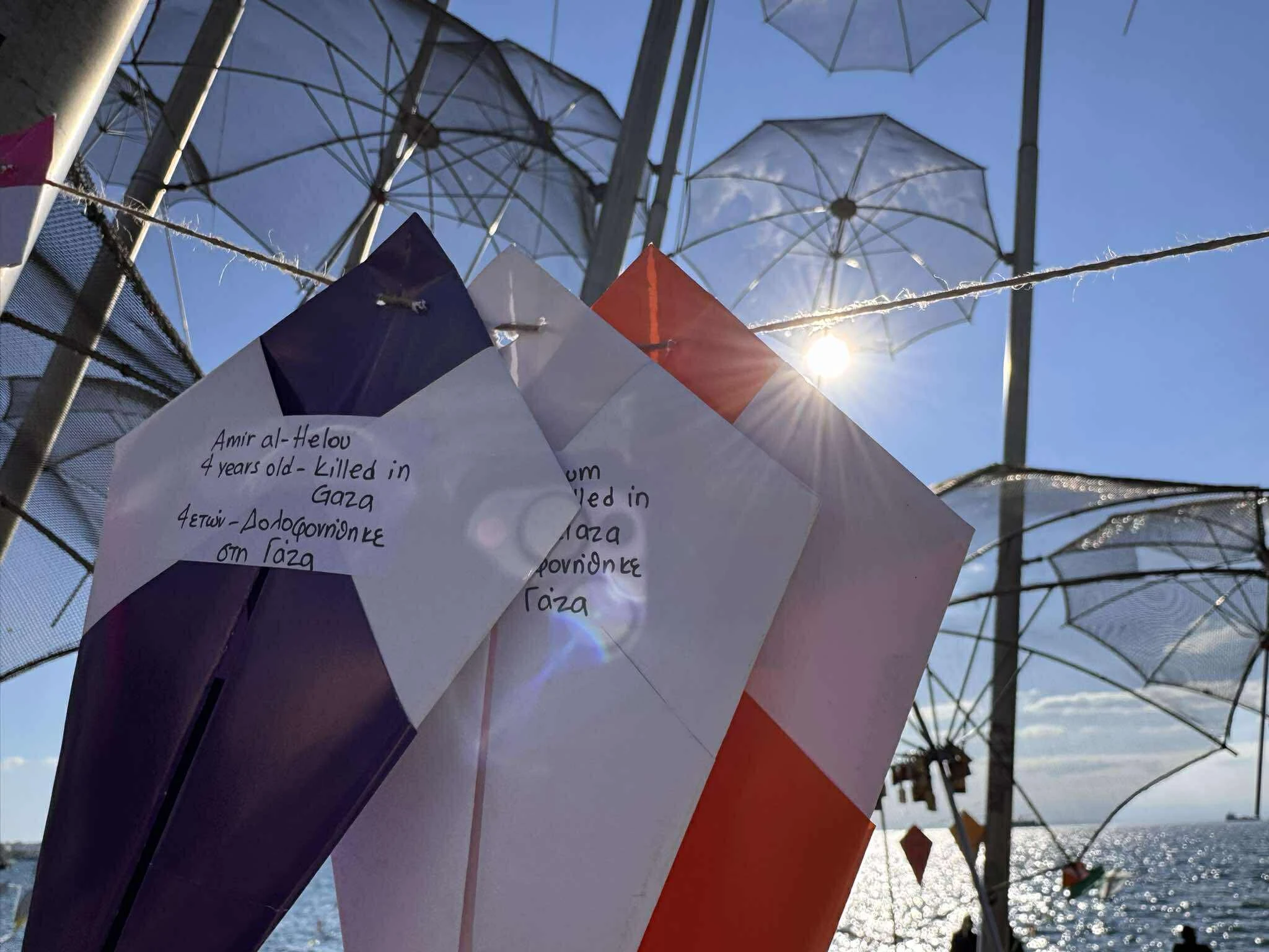 565696267-1993245718192830-8158669742026899068-n.jpg?v=0