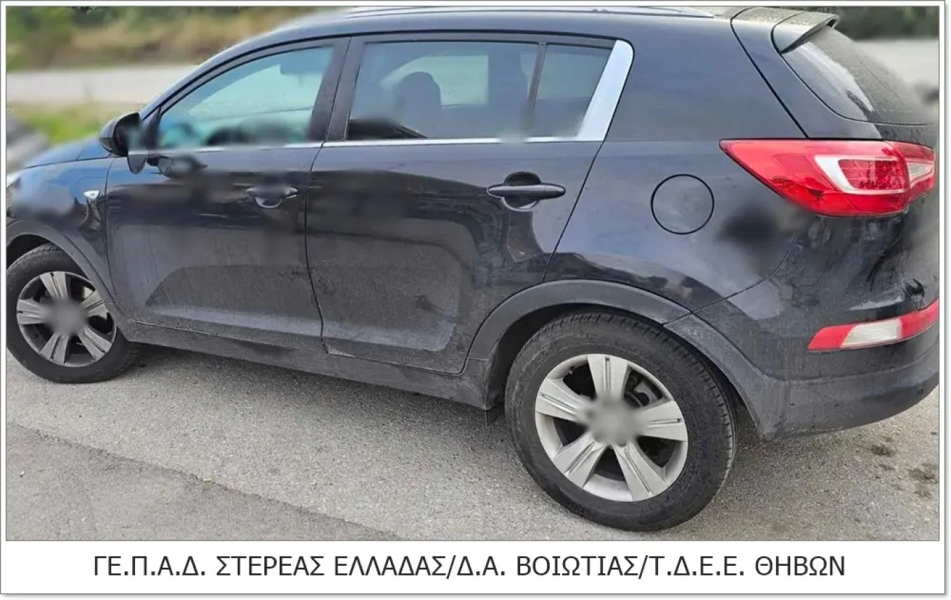 amaxi.jpeg?v=0