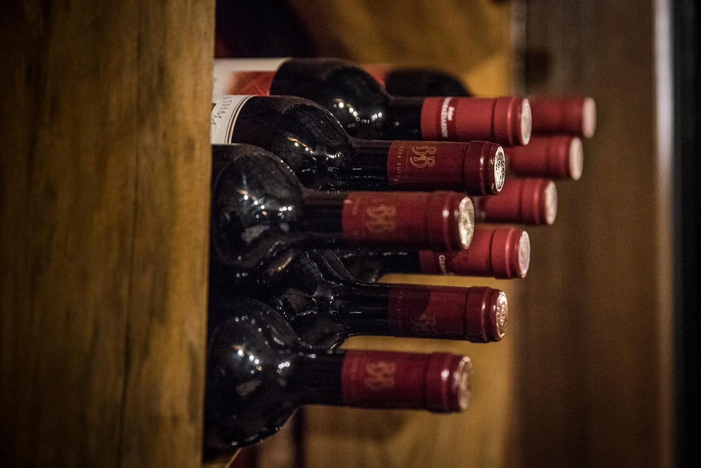 voras-gefsis-12.jpg?v=0